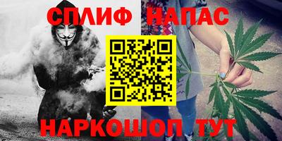 тгк Можга