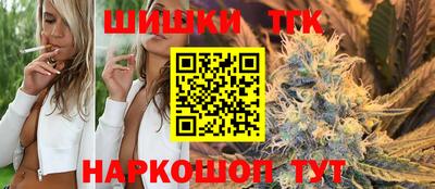 тгк Можга
