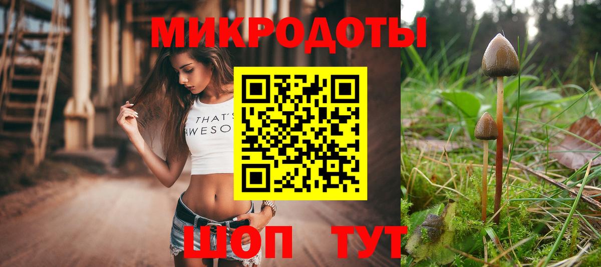 Торжок  Псилоцибиновые грибы GOLDEN TEACHER  Вход с VPN 