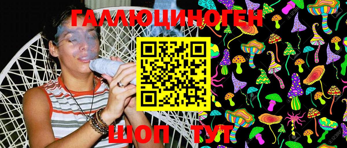 Псилоцибиновые грибы Psilocybine cubensis Торжок